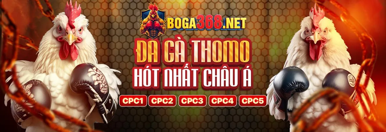 Đấu trường đá gà kịch tính tại 888vi login